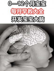 婴儿一岁内每月不花钱早教可开发大脑发育