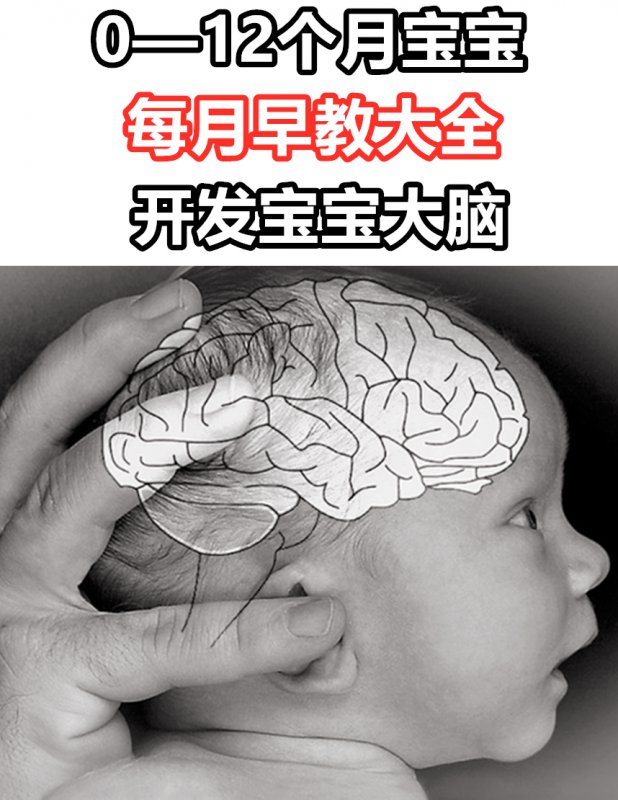 婴儿一岁内每月不花钱早教可开发大脑发育