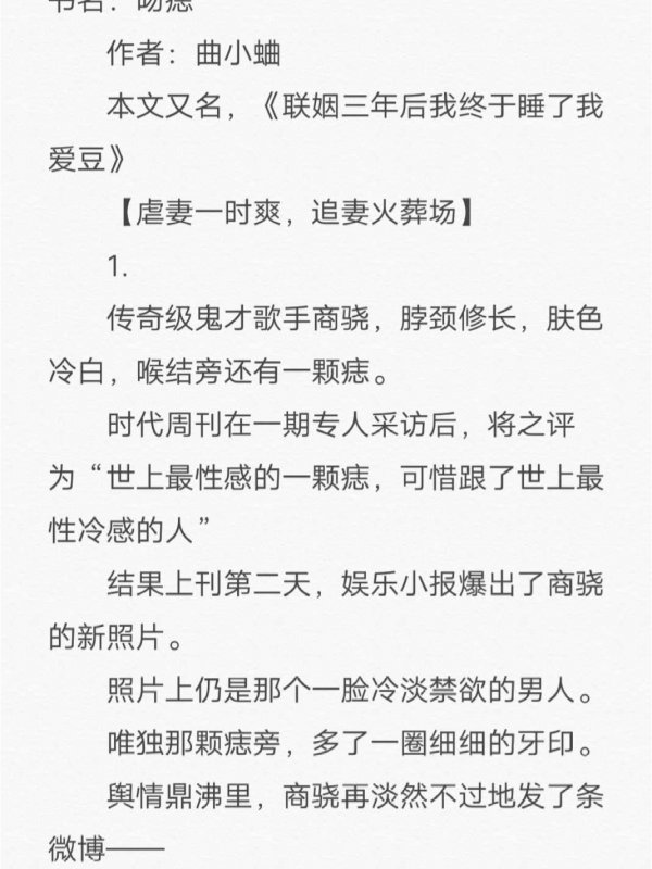 虐妻一直爽追妻火葬场小说吻痣剧情超赞