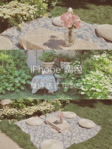 iPhone手机调色 | 花园夏日小清新法式电影