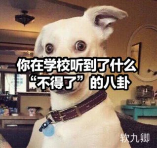 你在学校听到了什么“不得了”的八卦