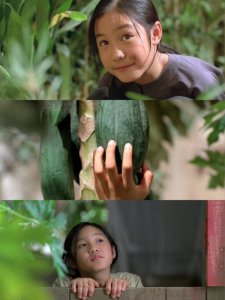 夏日电影推荐：那些发生在夏天的美好故事！
