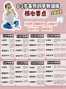 0-3岁不花钱在家早教分月龄重点全脑启蒙
