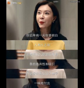电视剧推荐谁说我结不了婚不是催婚剧