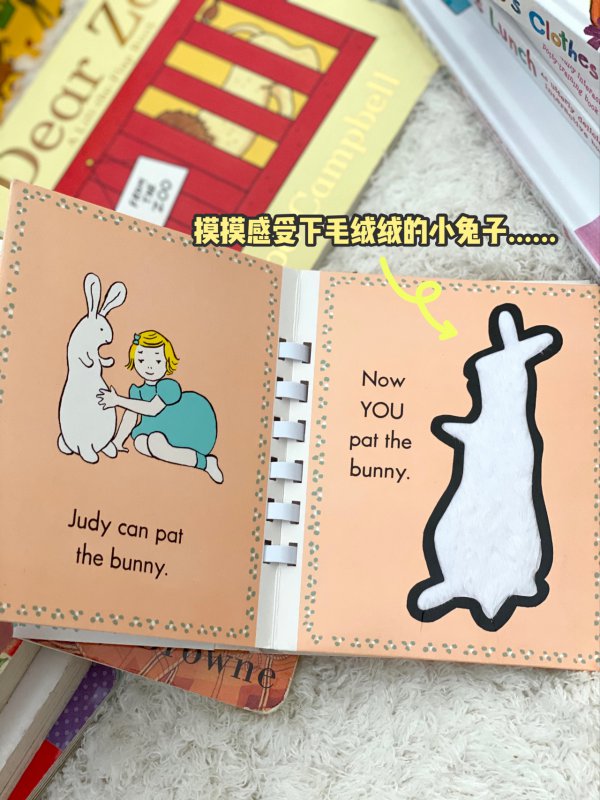 一岁左右宝宝的家庭早教，玩具+绘本分享