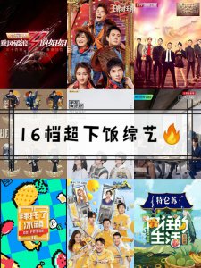 综艺清单|16档超下饭综艺‼都给我看