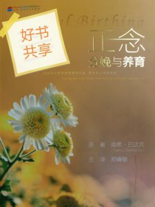 好书共享：正念分娩与养育，孕期育儿好书