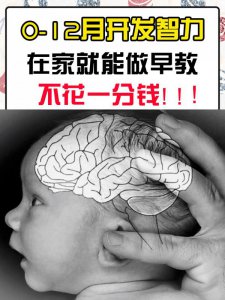 新生儿何如开发智力？在家就能做的早教教程