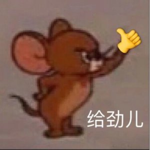 |滚圈娱情放送，聊天聊地聊八卦。