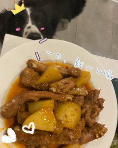 「留学生菜谱」Home爬被赞爆·土豆烧排骨