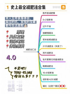 减肥法合集4.0亲身体验、记录、具体方法
