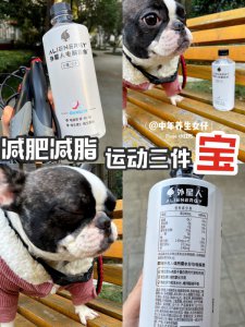 6.5r减肥减脂运动三件宝