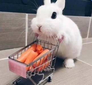 食物减肥的方法是什么 这些美食让你越吃越瘦