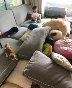 林志颖晒凌乱客厅 快来瞧瞧黑米哥哥暑假是如何渡过的