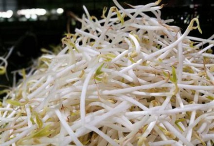 14款低热量减肥食物 让你的减肥食谱不再单一