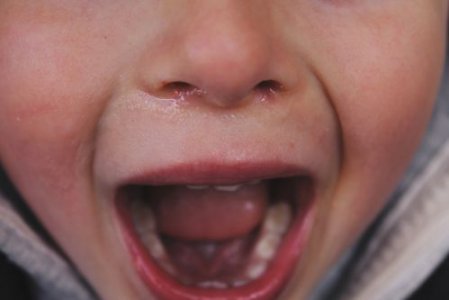 孩子的家庭作业 满足两个目的即可 如果击垮了孩子意志只会更糟