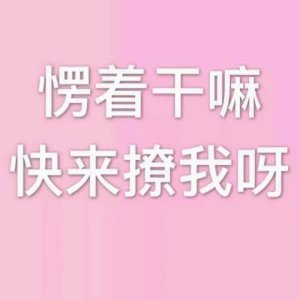 网易云热评：不要跟我讲 因为你终将会原谅他 而我不会