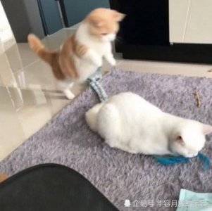 男生不叫你媳妇 而是3个骚称呼 200％是动了真心