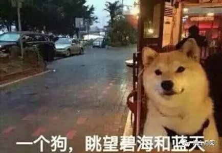 倔强式单身的属性你有吗？会不会想脱单却又不肯意主动呢？