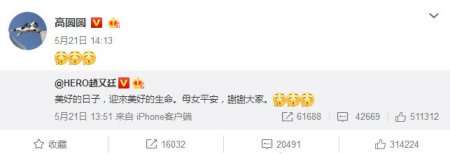 高圆圆资源流失被广告商抛弃 她愿降低身价 对方依然拒绝