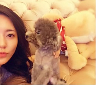 明星黄梦莹现实的家 家里摆满了布娃娃 真是一个很可爱的少女
