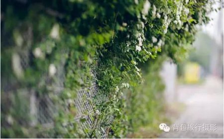 去见你想见的人吧 · 趁阳光正好 趁你还未老