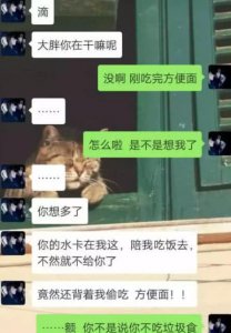骨灰级直男怎么聊天 高手过招 招招致命 网友：别伤害无辜