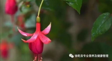 宝宝饿不饿 看食物消化时间表