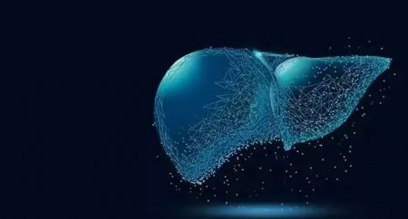 乙肝抗病毒治疗期间 为什么要检查肌酐水平 有时候还要检查血磷