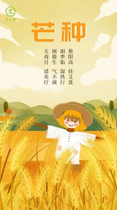 芒种 | 芒种到 盛夏始 常吃夏季第一瓜 防中暑护心脏