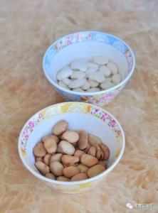 这才叫豆浆 这才叫醇香豆味 早餐喝这个才最具营养