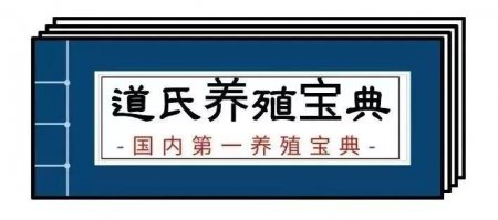夏季雨水较多 注意防控猪丹毒