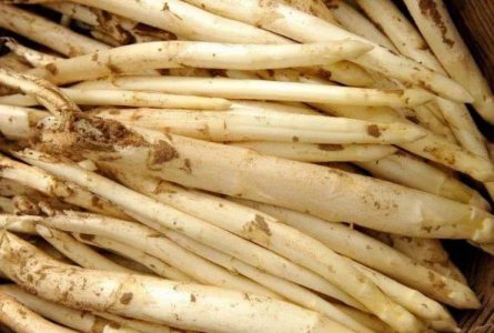 几种野菜常吃留住青春 减肥瘦身 保持一种年轻的状态 美容养颜