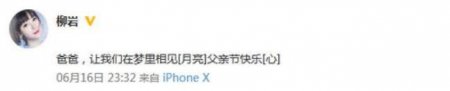 柳岩父亲节缅怀亡父 简单的言语中却透露出无比悲伤