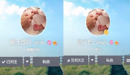 章子怡改微博名 旧名“稀土部队”有什么深刻含义
