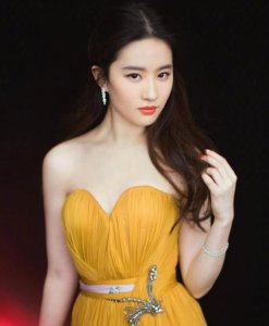 刘亦菲女神大赛夺冠 高圆圆始终难以打破亚军魔咒