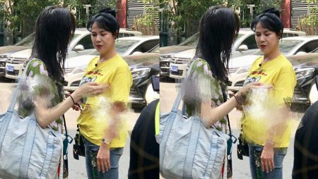 郑爽带老妈录节目 妈妈头扎丸子头亮相气质非常好