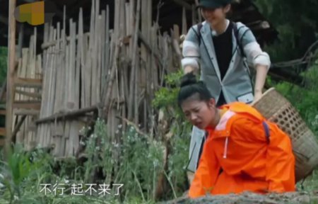 何蓝逗情商惹争议 背萝卜摔倒被吐槽秀存在感
