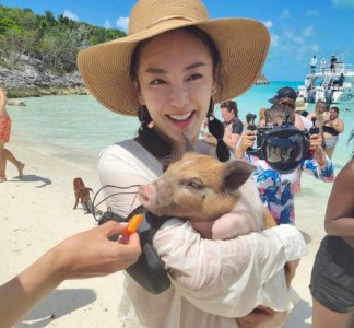 张雨绮抱小猪度假 懒理网传巨额赡养费被骗传闻