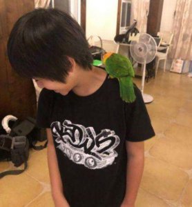 陈若仪晒儿子近照 长大后的Kimi十分帅气阳光