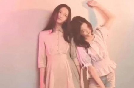 李嫣与闺蜜甜美合影 两人星范十足气质佳