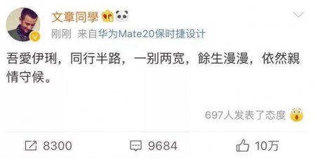 马伊琍文章宣布离婚 同行半路一别两欢