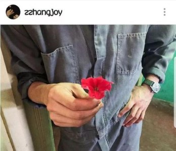 屈楚萧张婧仪疑恋爱 网友质疑这难道不是炒热度吗