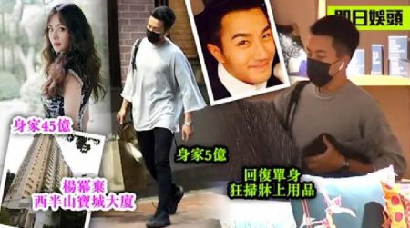 杨幂刘恺威正式分家 杨幂的个人财产高达45亿元