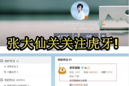 张大仙将加盟虎牙 为什么他被称为顶级流量