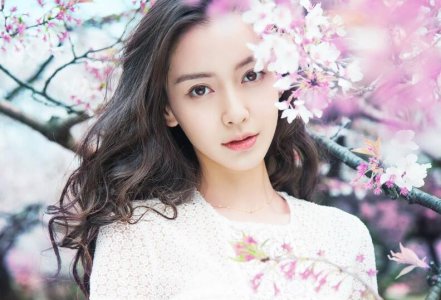 杨颖借腹生子是事实吗 黄晓明承认借腹生子是真的吗