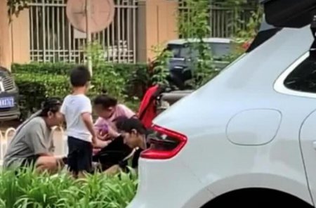 何洁带三孩子玩耍 兄妹三人同框的画面非常温馨