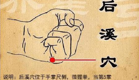 现在 怎么样锻炼才能丰胸的动作？