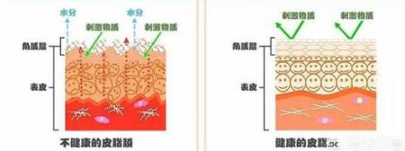 一到秋天开始 什么面霜补水保湿效果最好