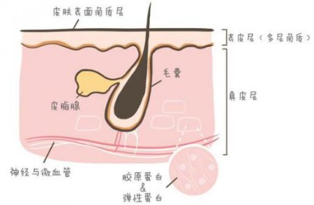 改善毛孔粗大真不是个一蹴而就的问题 毛孔粗大怎么办？如何改善